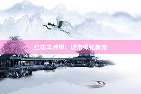 红花羊蹄甲：城市绿化新宠
