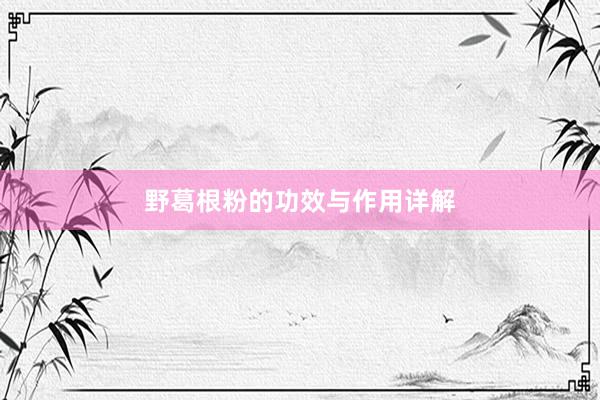 野葛根粉的功效与作用详解
