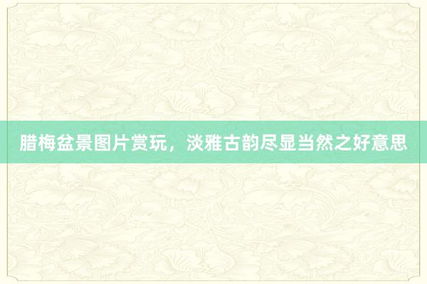 腊梅盆景图片赏玩，淡雅古韵尽显当然之好意思